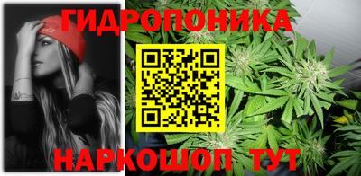дурь Гусев