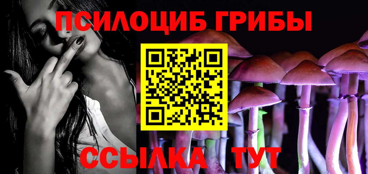 Псилоцибиновые грибы мухоморы Копейск